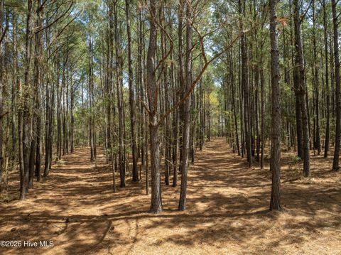 Tiny photo for 0 Odum Drive, Hubert, NC 28539 (MLS # 100564032)