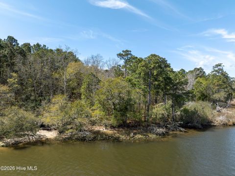 Tiny photo for 0 Odum Drive, Hubert, NC 28539 (MLS # 100564032)