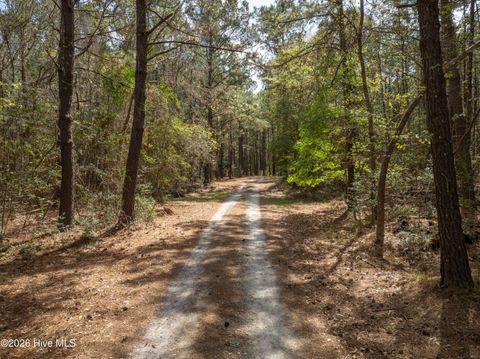 Tiny photo for 0 Odum Drive, Hubert, NC 28539 (MLS # 100564032)