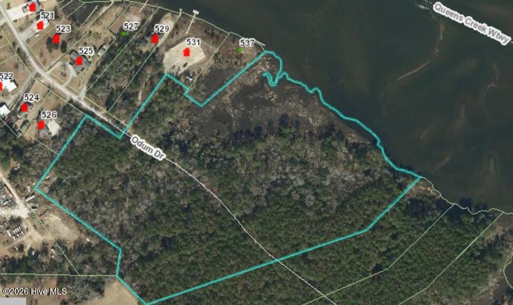 Photo of 0 Odum Drive, Hubert, NC 28539 (MLS # 100564032)