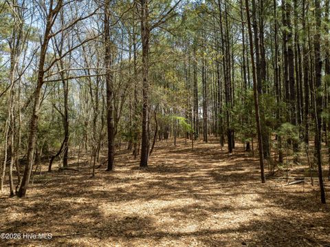 Tiny photo for 0 Odum Drive, Hubert, NC 28539 (MLS # 100564032)