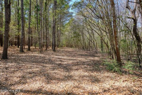Tiny photo for 0 Odum Drive, Hubert, NC 28539 (MLS # 100564032)