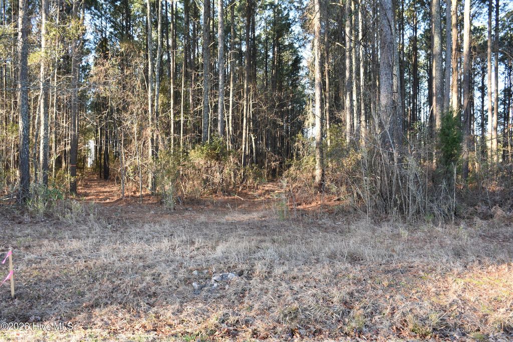 Photo of 97 Mcgowan Road, Bath, NC 27808 (MLS # 100556062)
