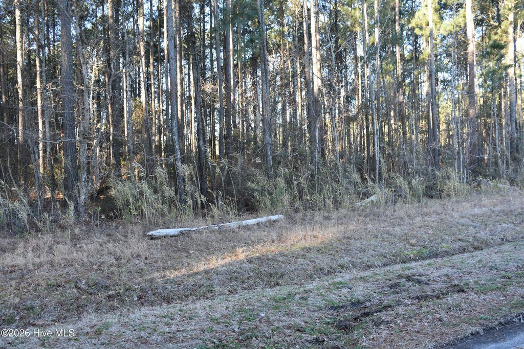 Photo of 97 Mcgowan Road, Bath, NC 27808 (MLS # 100556062)