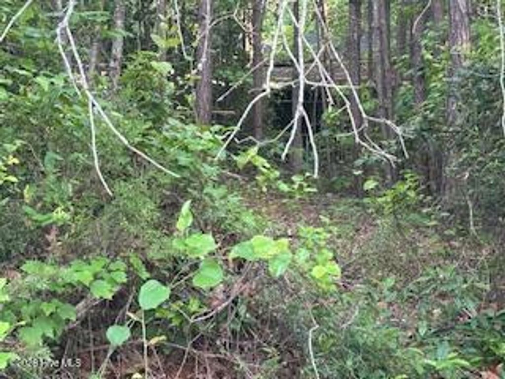 Photo of 125 Mockingbird Lane, Hollister, NC 27844 (MLS # 100571362)