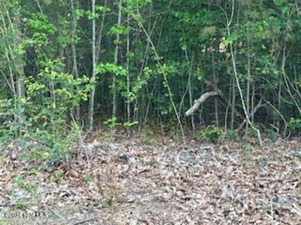 Photo of 125 Mockingbird Lane, Hollister, NC 27844 (MLS # 100571362)