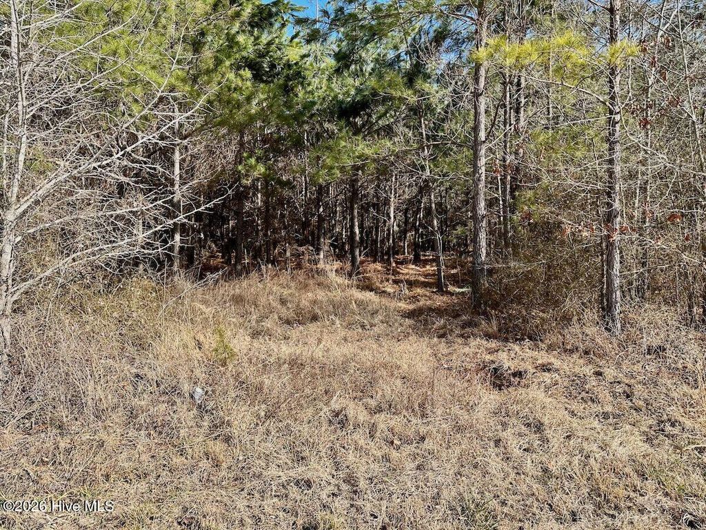 Photo of 346 Menola Saint Johns Road, Ahoskie, NC 27910 (MLS # 100552108)