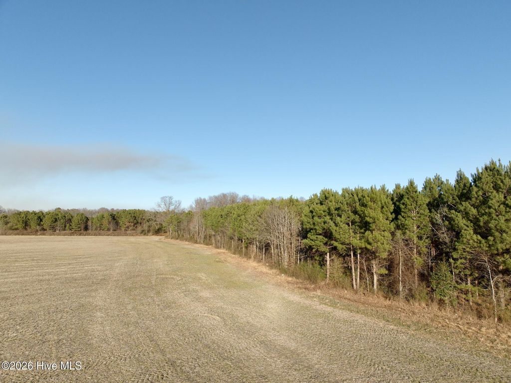 Photo of 346 Menola Saint Johns Road, Ahoskie, NC 27910 (MLS # 100552108)