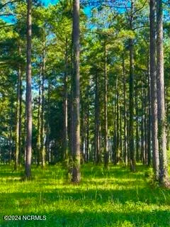 218 Cassie May Boulevard, Oriental, NC, 28571