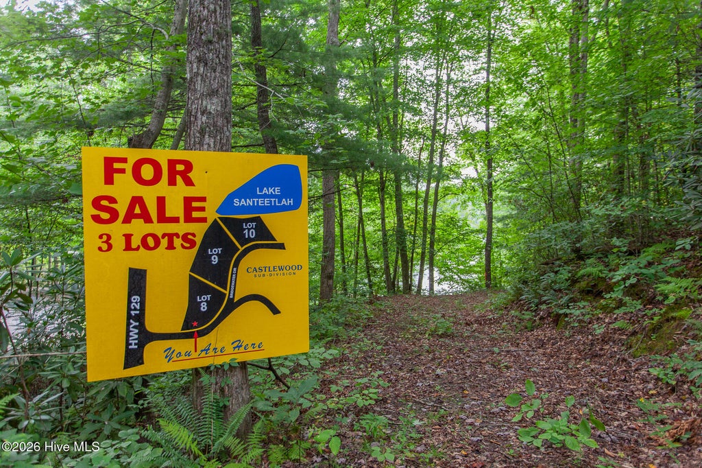 Photo of 810 Castlewood Road, Robbinsville, NC 28771 (MLS # 100606851)