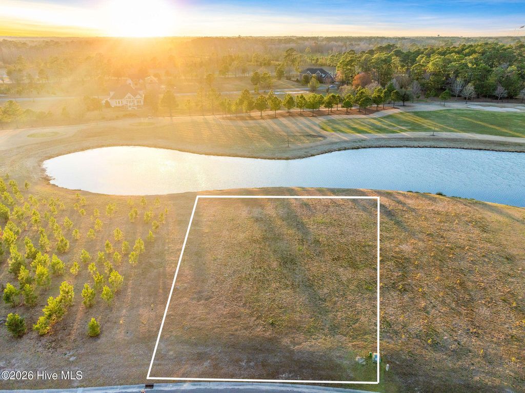 Photo of 153 Falls Landing Way, Wallace, NC 28466 (MLS # 100559347)