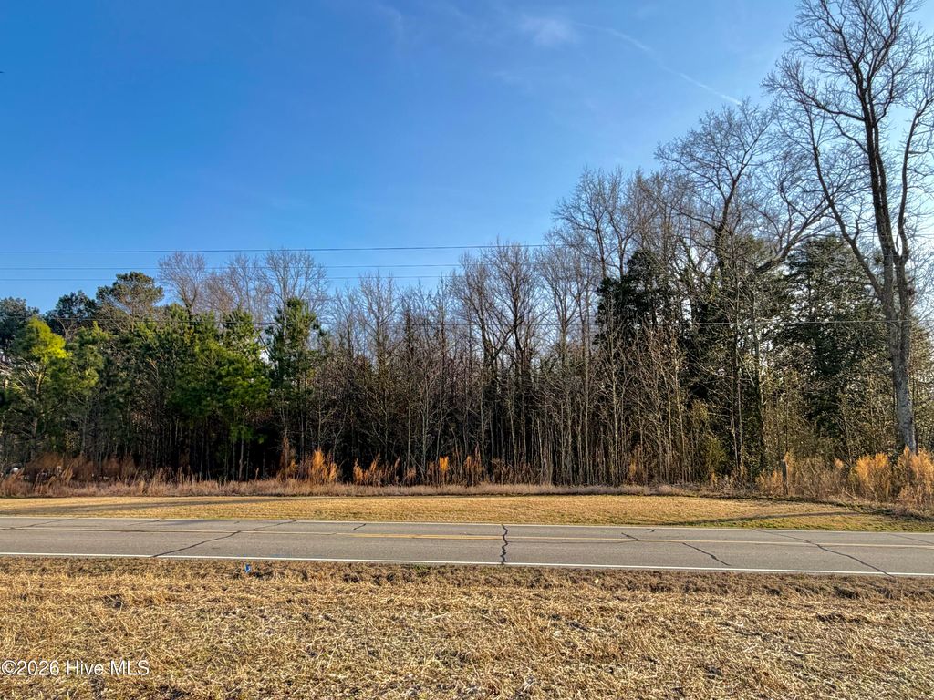 Photo of 0 Davis Mill Road, Fremont, NC 27830 (MLS # 100558022)