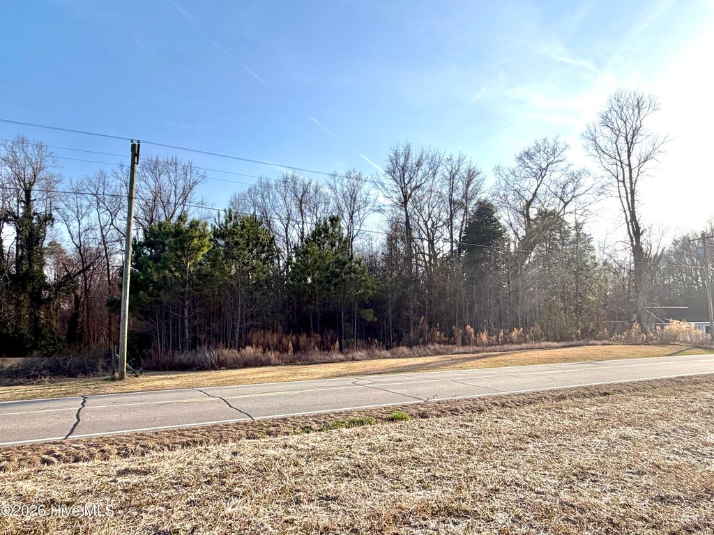 Photo of 0 Davis Mill Road, Fremont, NC 27830 (MLS # 100558022)