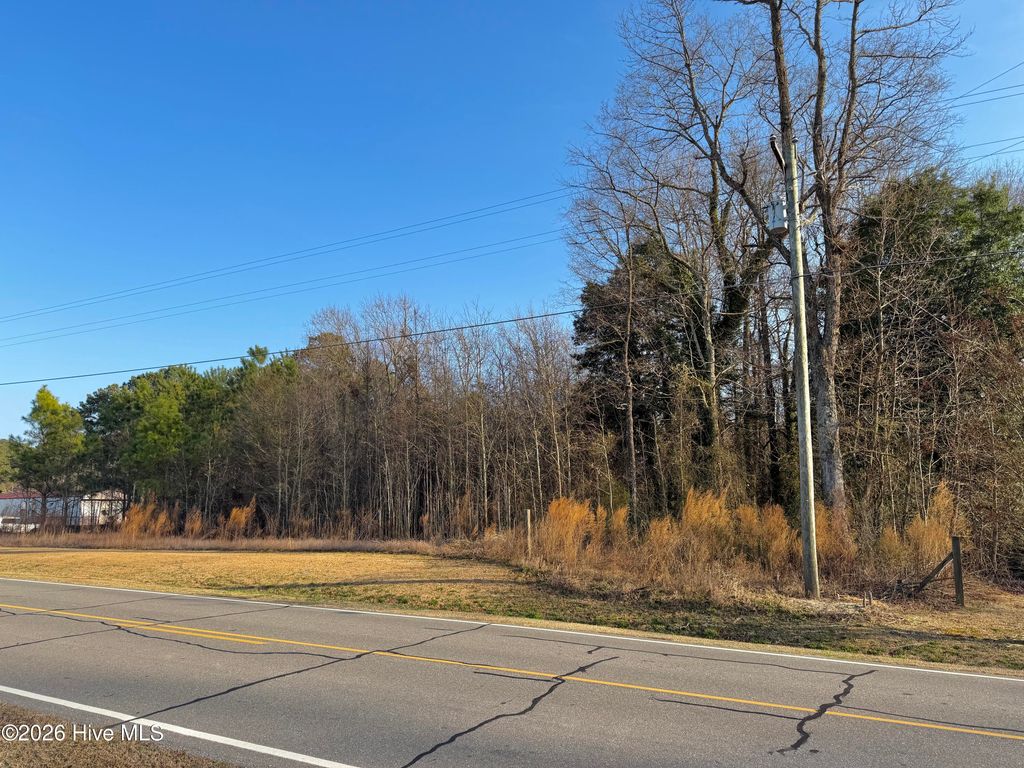 Photo of 0 Davis Mill Road, Fremont, NC 27830 (MLS # 100558022)