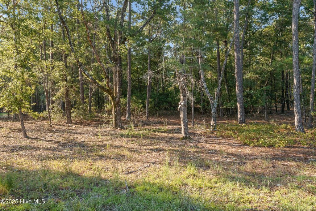 Photo of 1820 Harbour Edge Lane SW, Supply, NC 28462 (MLS # 100526036)