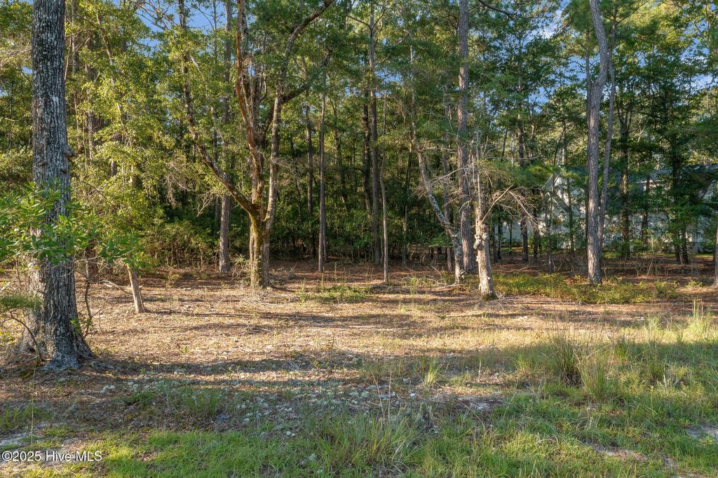 Photo of 1820 Harbour Edge Lane SW, Supply, NC 28462 (MLS # 100526036)