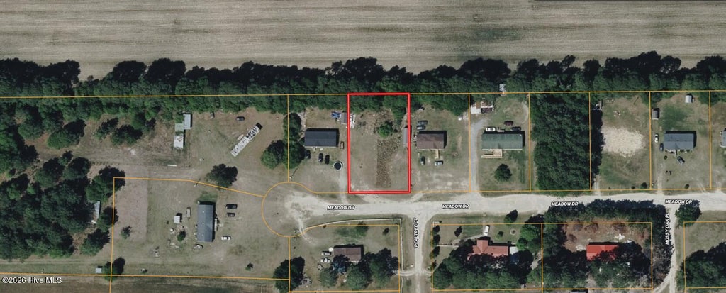 Photo of 360 Meadow Drive, Snow Hill, NC 28580 (MLS # 100603599)