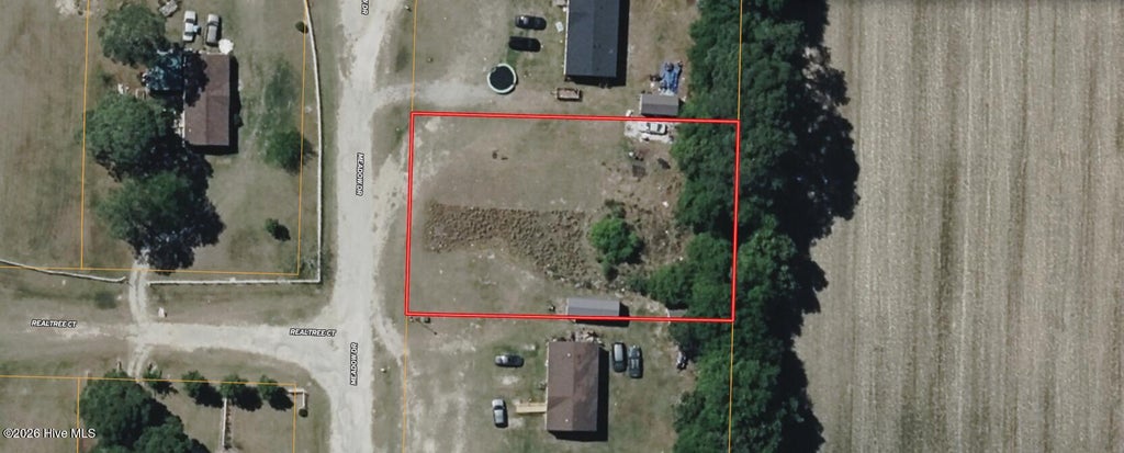 Photo of 360 Meadow Drive, Snow Hill, NC 28580 (MLS # 100603599)