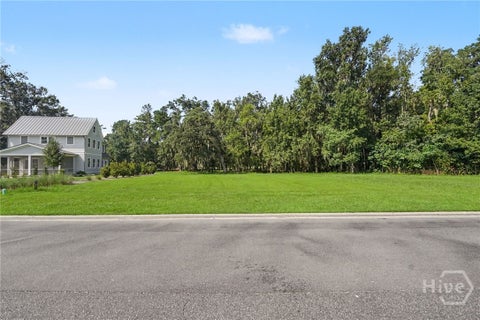 Vacant Land For Sale - 245 Little Lulu Lane<br/> Richmond Hill, GA 31324