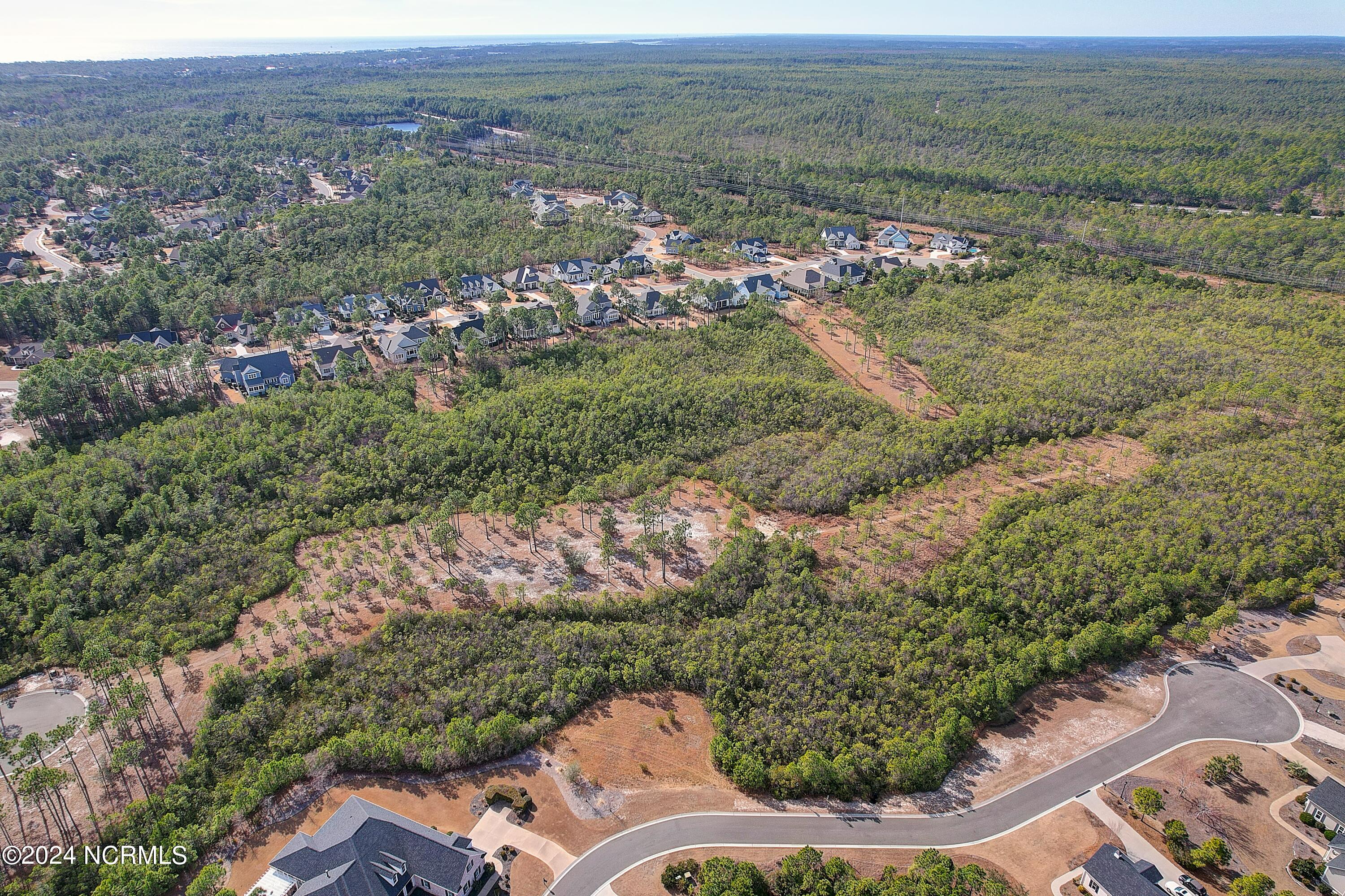 2696 17L Yellow Poplar Path