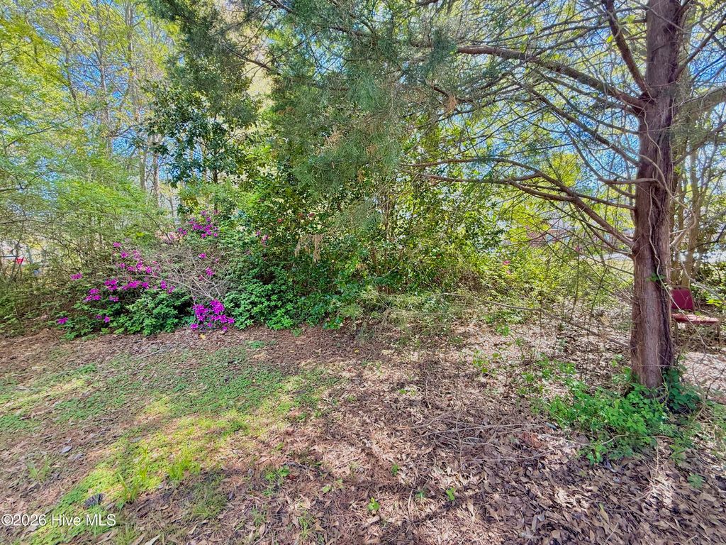 Photo of 513 E Main Street, Plymouth, NC 27962 (MLS # 100570739)