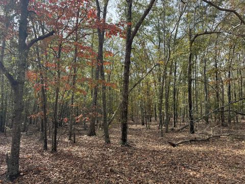 Vacant Land For Sale - LOT 11 Highway 88<br/> Blythe, GA 30805