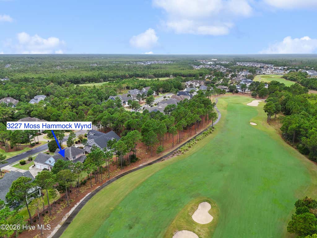 Photo of 3227 Moss Hammock Wynd, Southport, NC 28461 (MLS # 100598817)