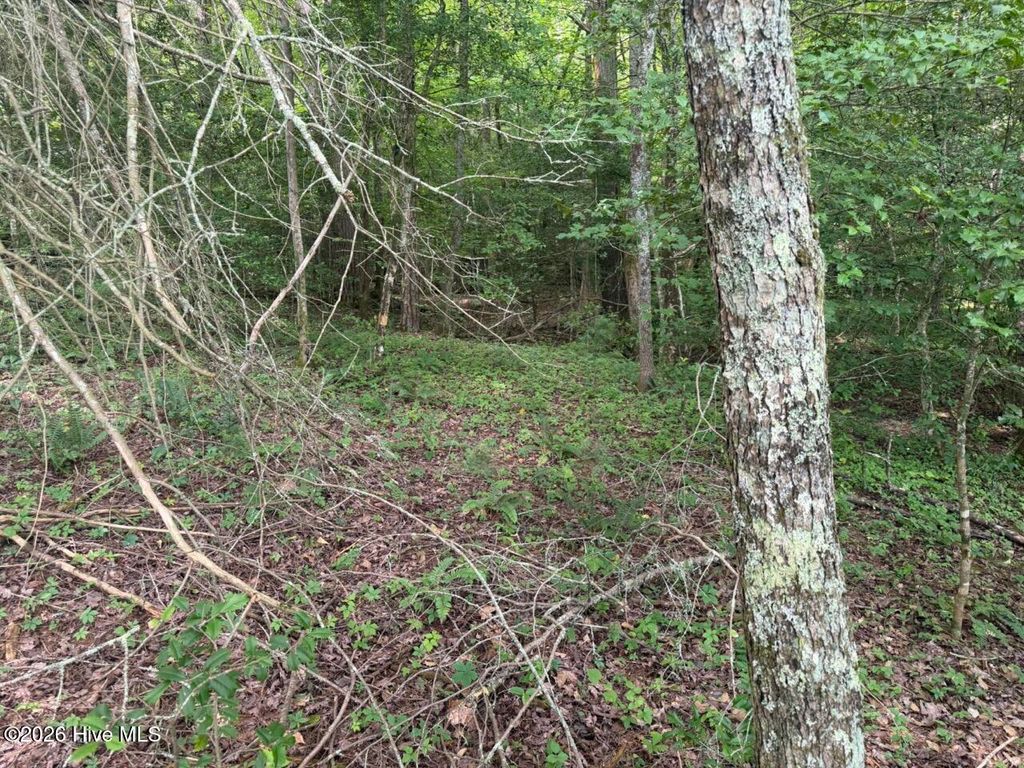 Photo of Tbd Rough Gravel Road, Murphy, NC 28906 (MLS # 100585394)