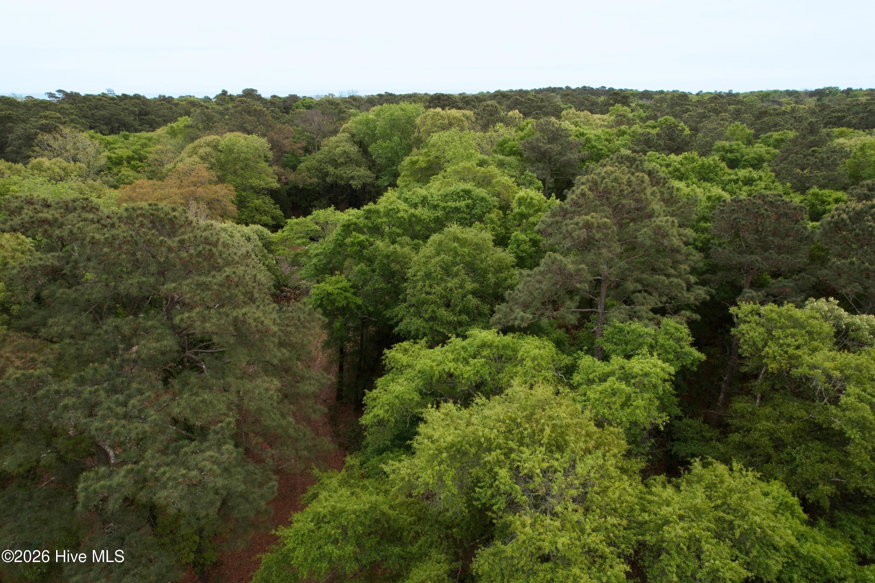 6358 Myrtle Grove Road