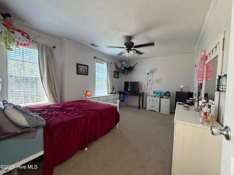 Tiny photo for 209 Middle Ridge Drive, Hubert, NC 28539 (MLS # 100579605)