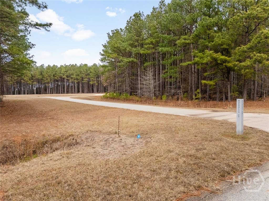 Photo of 0 Magnolia Court, Tignall, GA 30668 (MLS # CL361191)