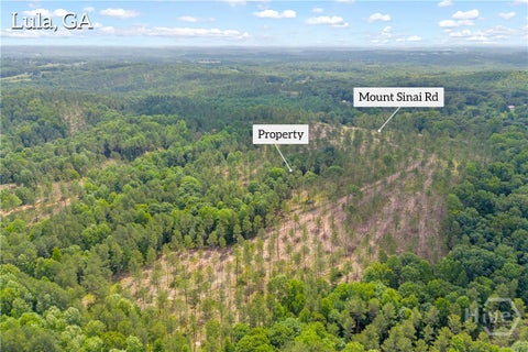 Vacant Land For Sale - Mt. Sinai #LOT 4<br/> Banks County, Lula, GA 30554