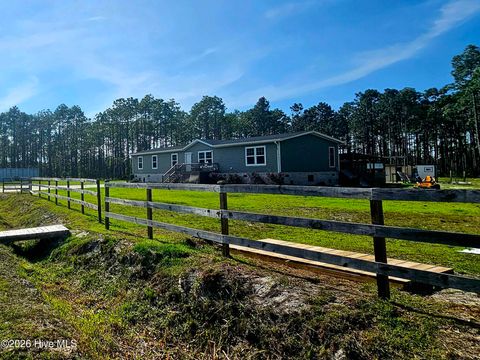 Photo of 2094 Traders Neck Road, Hampstead, NC 28443 (MLS # 100586262)