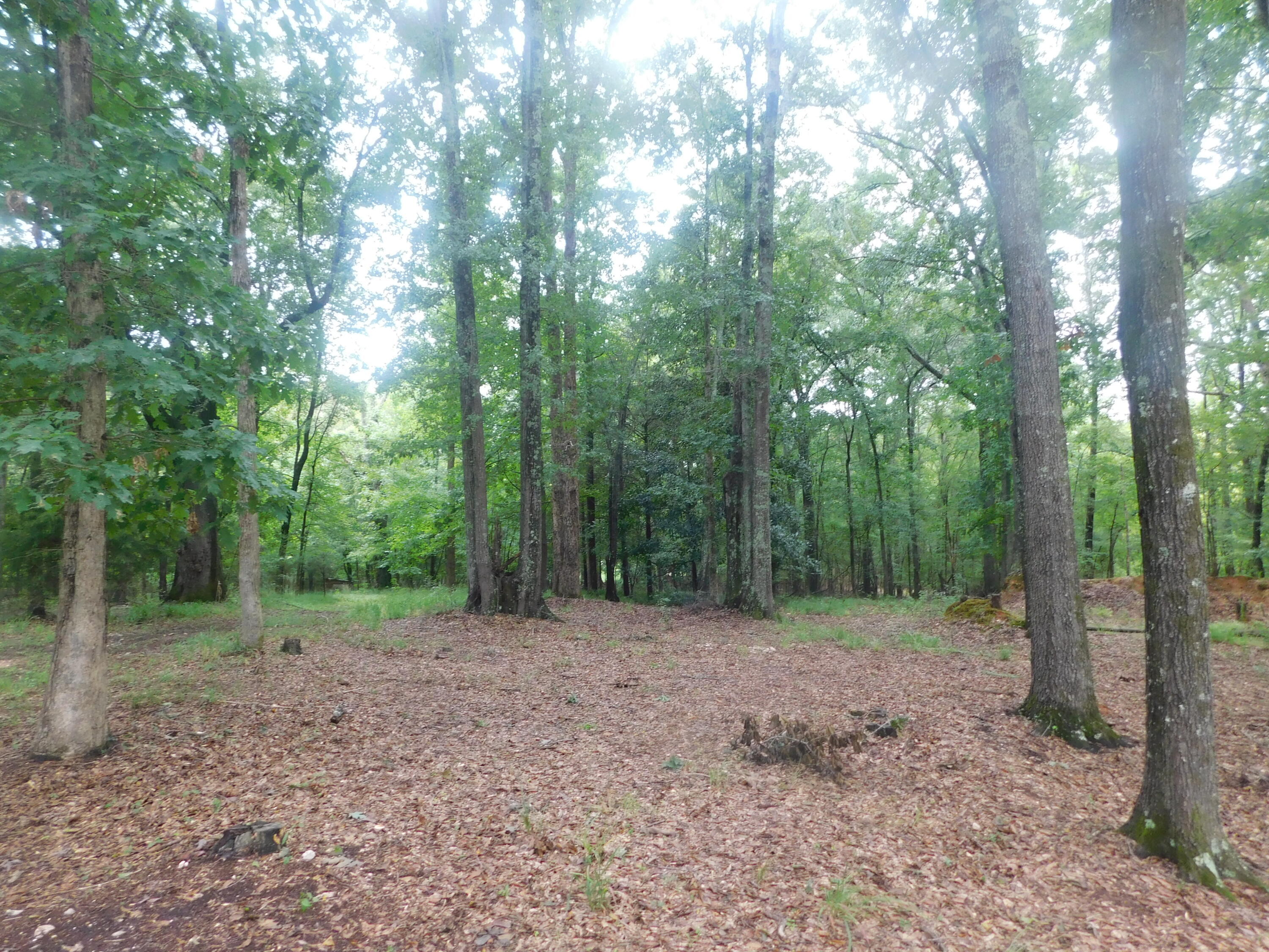 1105 Cedar Road