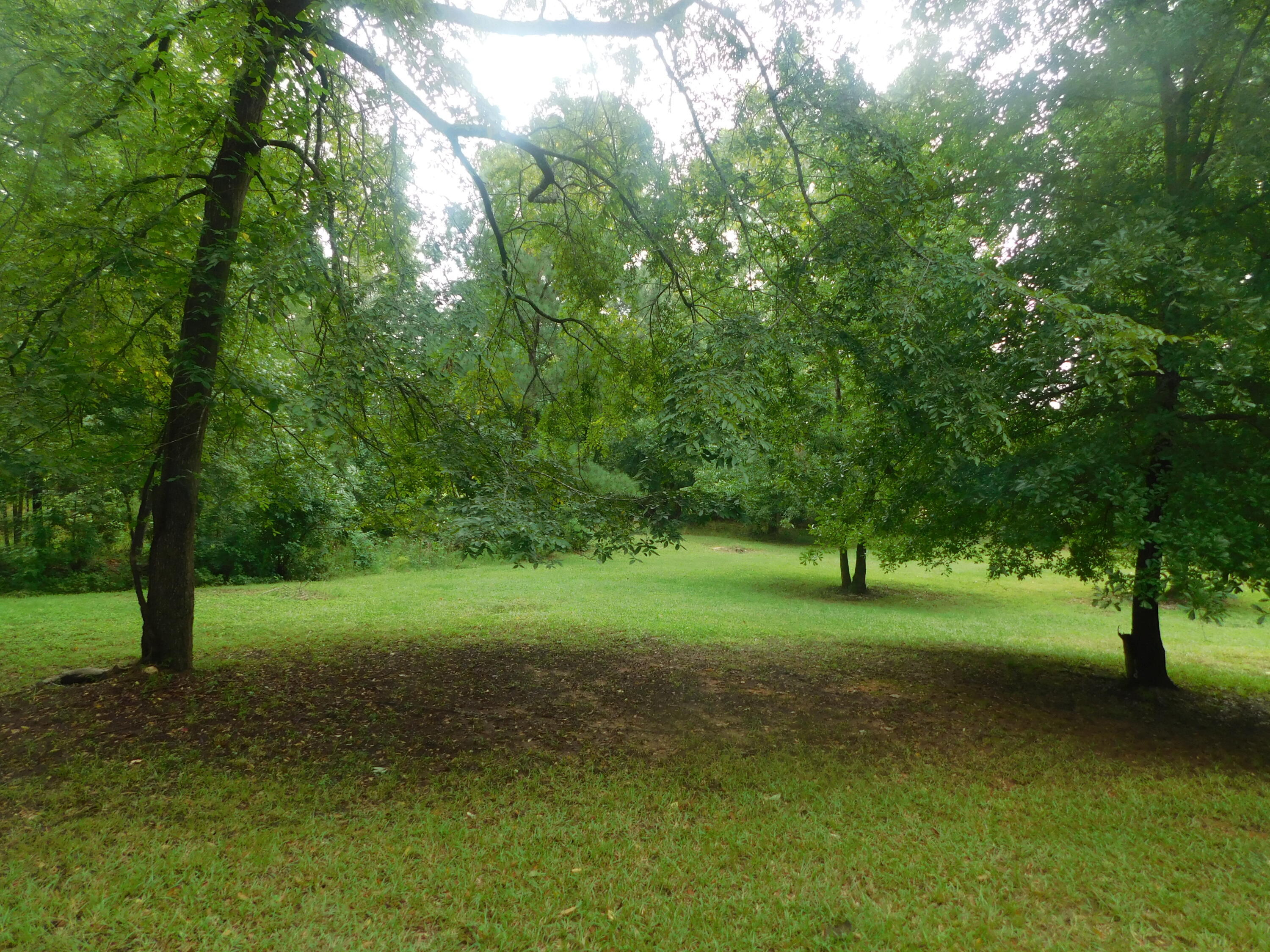 1105 Cedar Road