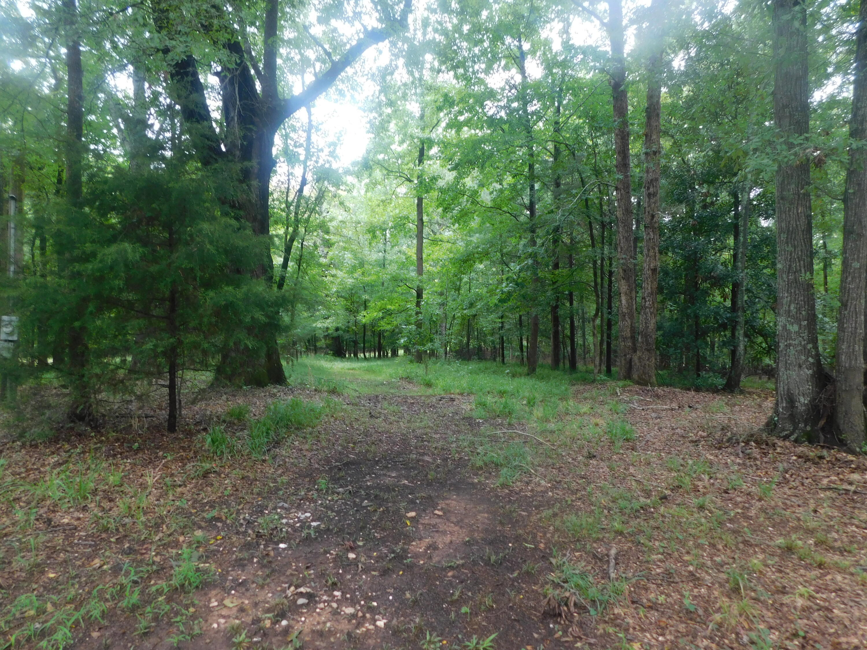 1105 Cedar Road