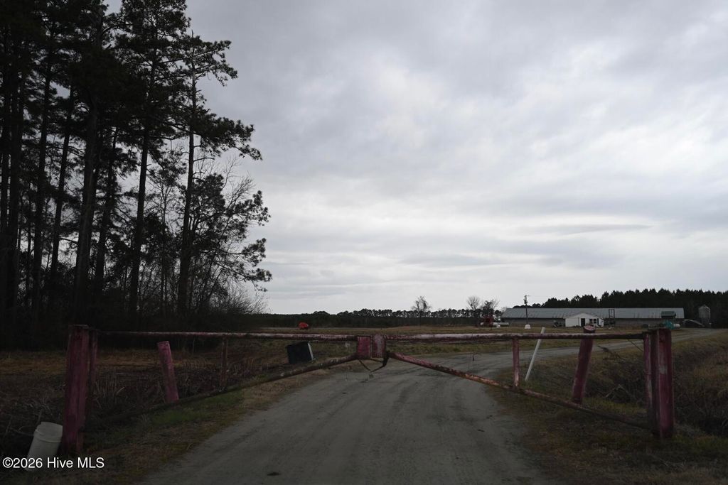 Photo of 1535 Maul Swamp Road, Vanceboro, NC 28586 (MLS # 100554938)