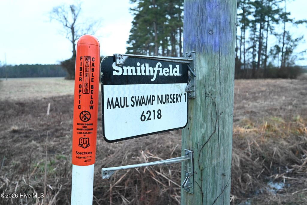 Photo of 1535 Maul Swamp Road, Vanceboro, NC 28586 (MLS # 100554938)