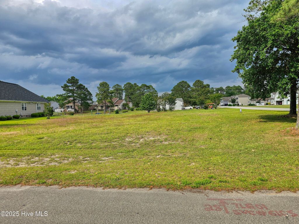 Photo of 6107 Cassowary Lane, New Bern, NC 28560 (MLS # 100501262)