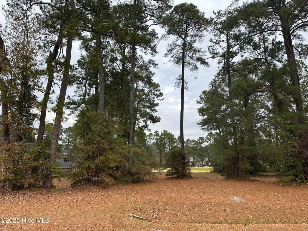 Photo of 466 S Middleton Drive NW, Calabash, NC 28467 (MLS # 100545369)