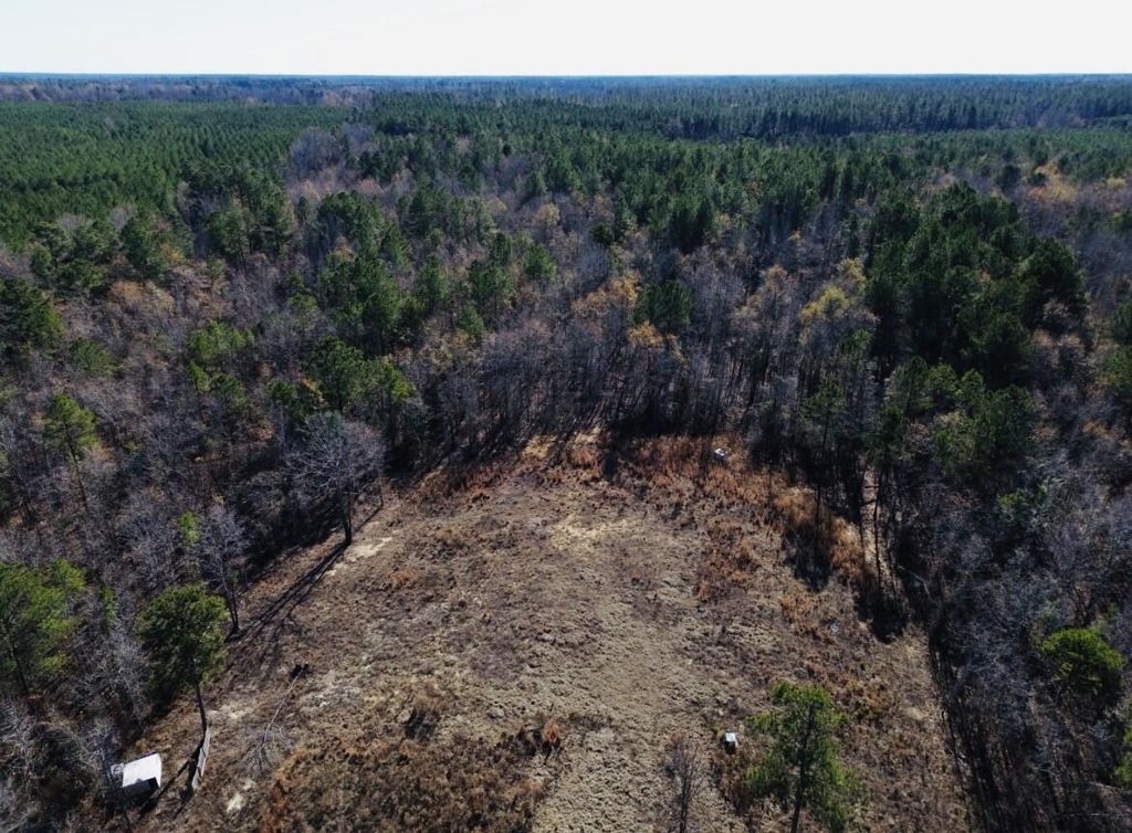 Photo of 6975 Highway 80, Keysville, GA 30816 (MLS # 550341)