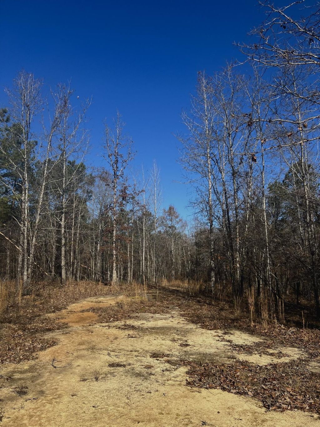 Photo of 6975 Highway 80, Keysville, GA 30816 (MLS # 550341)