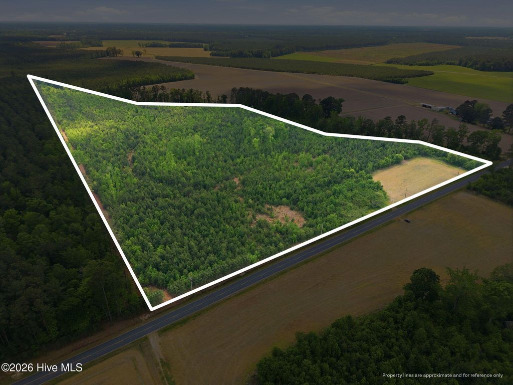 Photo of 2733 Jim Taylor Road, Stokes, NC 27884 (MLS # 100569848)