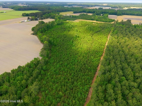 Vacant Land For Sale - 2733 Jim Taylor Road<br/> Stokes, NC 27884