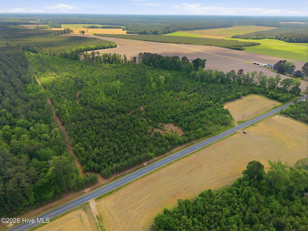 Photo of 2733 Jim Taylor Road, Stokes, NC 27884 (MLS # 100569848)