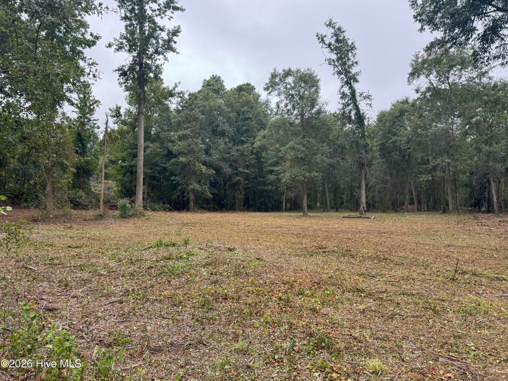 Photo of 3794 Us-117, Dudley, NC 28333 (MLS # 100557775)