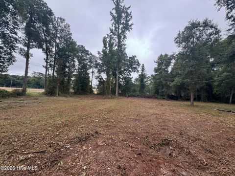 Vacant Land For Sale - 3794 Us-117<br/> Dudley, NC 28333