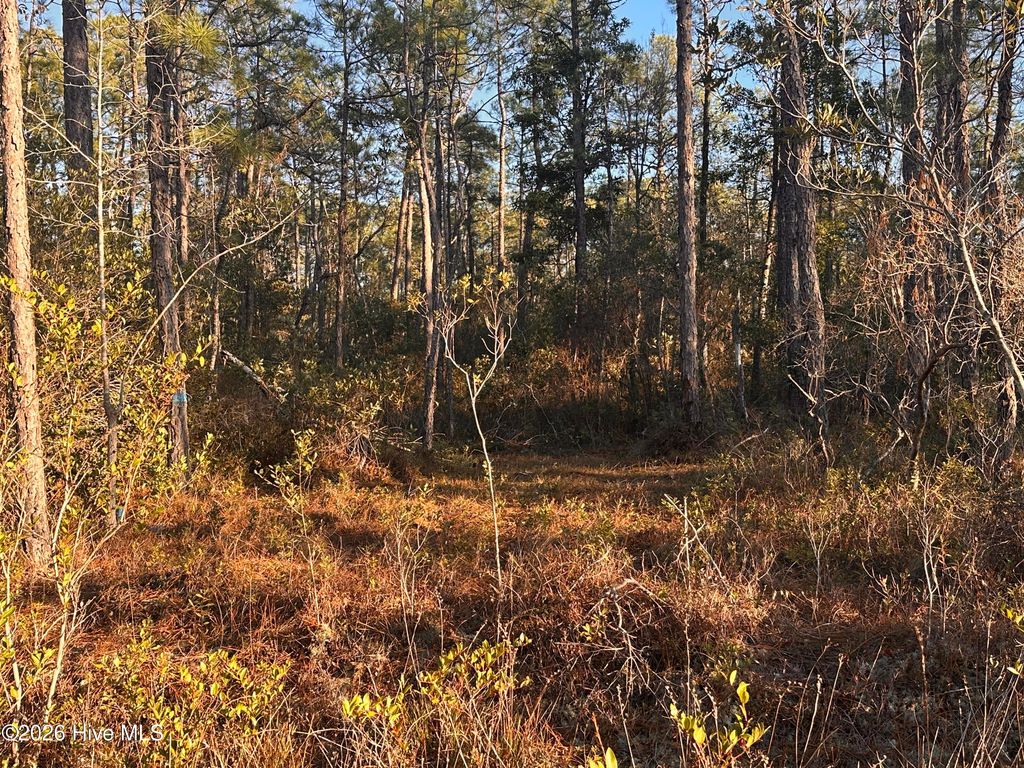 Photo of 568 Grape Road, Southport, NC 28461 (MLS # 100550216)