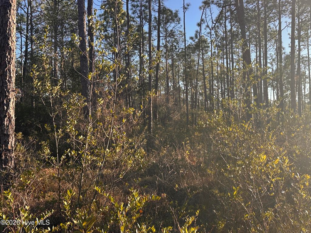 Photo of 568 Grape Road, Southport, NC 28461 (MLS # 100550216)