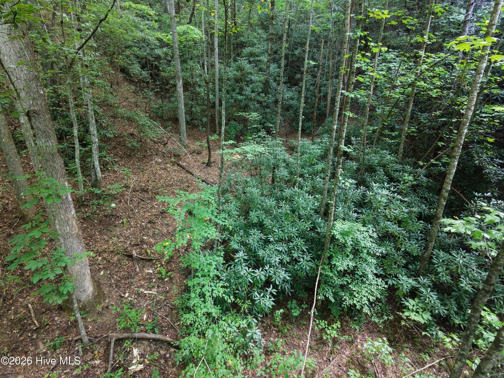 Photo of 00 Collett Creek Road, Andrews, NC 28901 (MLS # 100607015)